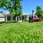 Essential Tips For Effective Garden Maintenance