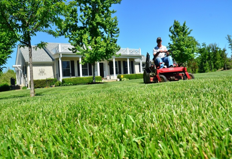 Essential Tips For Effective Garden Maintenance