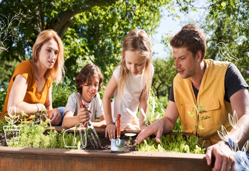 Growing Your Food Joy Of Vegetable Gardens