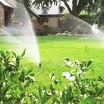 Watering Your Garden The Intelligent Way